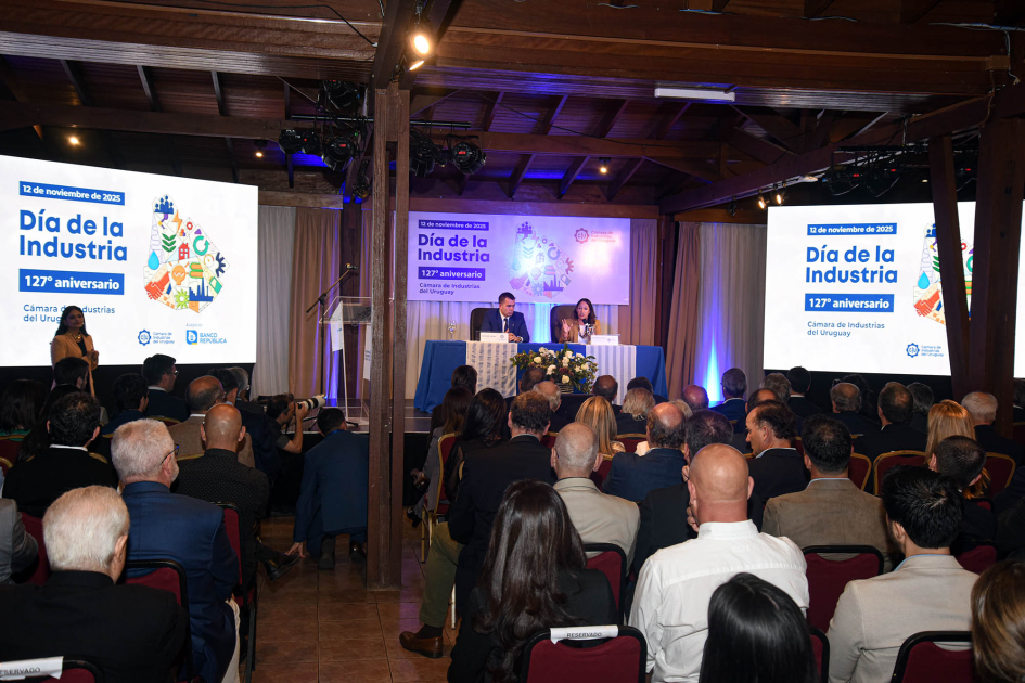 Al fondo, escenario y pantallas; más cerca, público, de espaldas