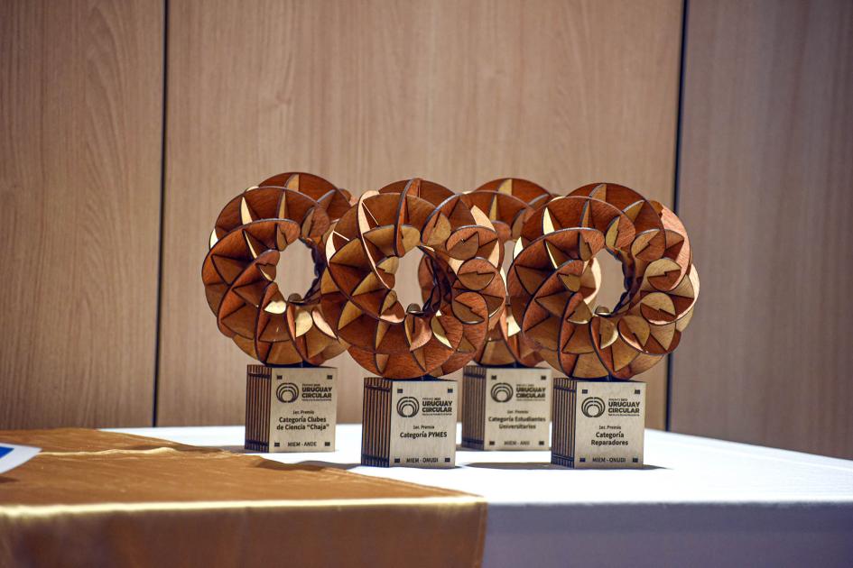 Varios premios, con forma similar a una flor y construidos en algo parecido al cartón o madera