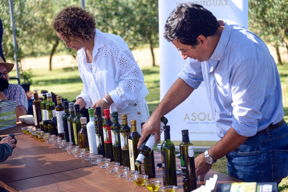 Cata de aceite de oliva durante el evento Cata de aceite de oliva durante el evento