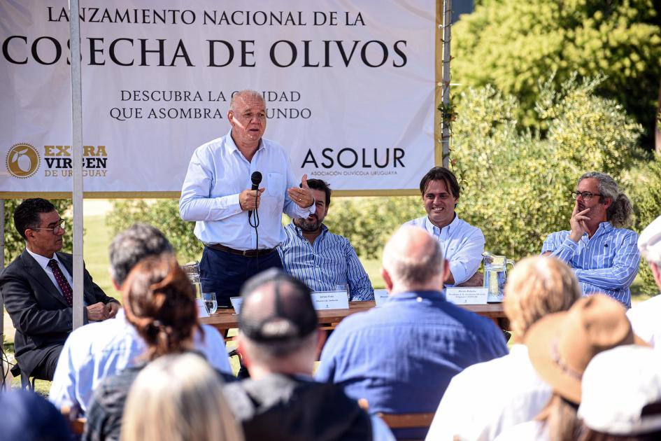 Subsecretario Walter Verri, haciendo uso de la palabra