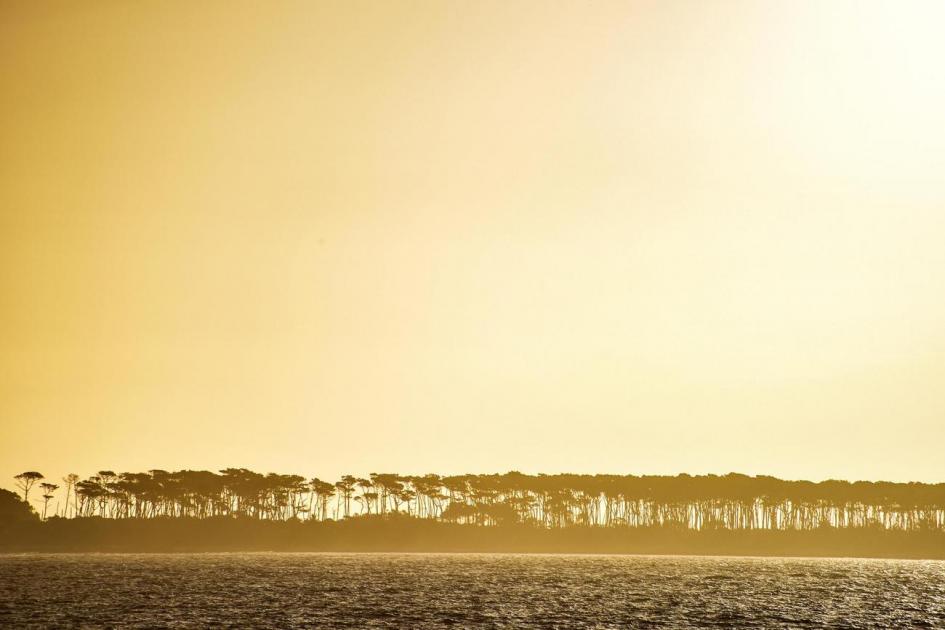 Punta del Este Punta del Este