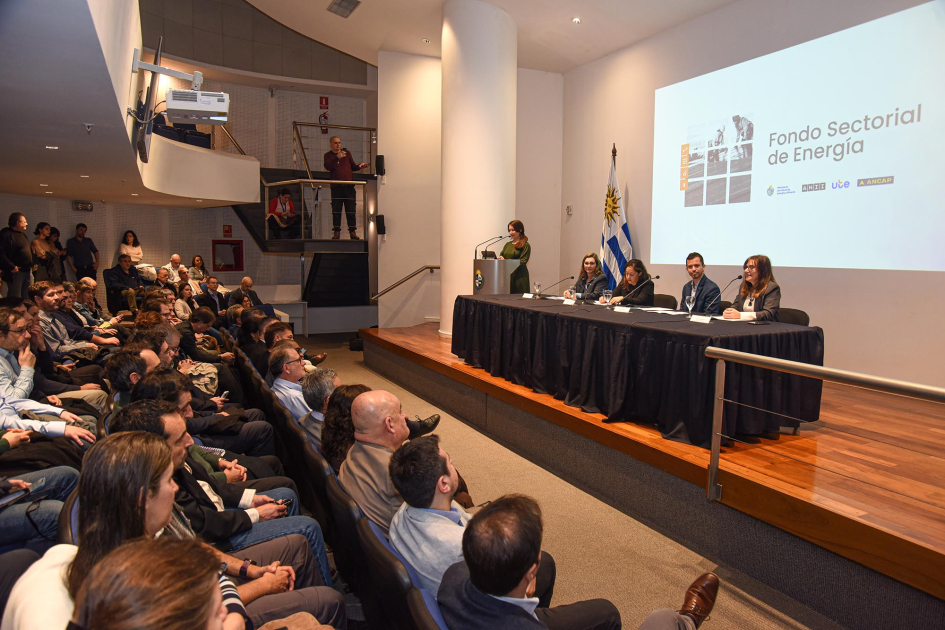 Lanzamiento del Fondo Sectorial de Energía, convocatoria 2026 Al fondo, escenario con mesa de autoridades, bandera y pantalla; más cerca, público, de espaldas