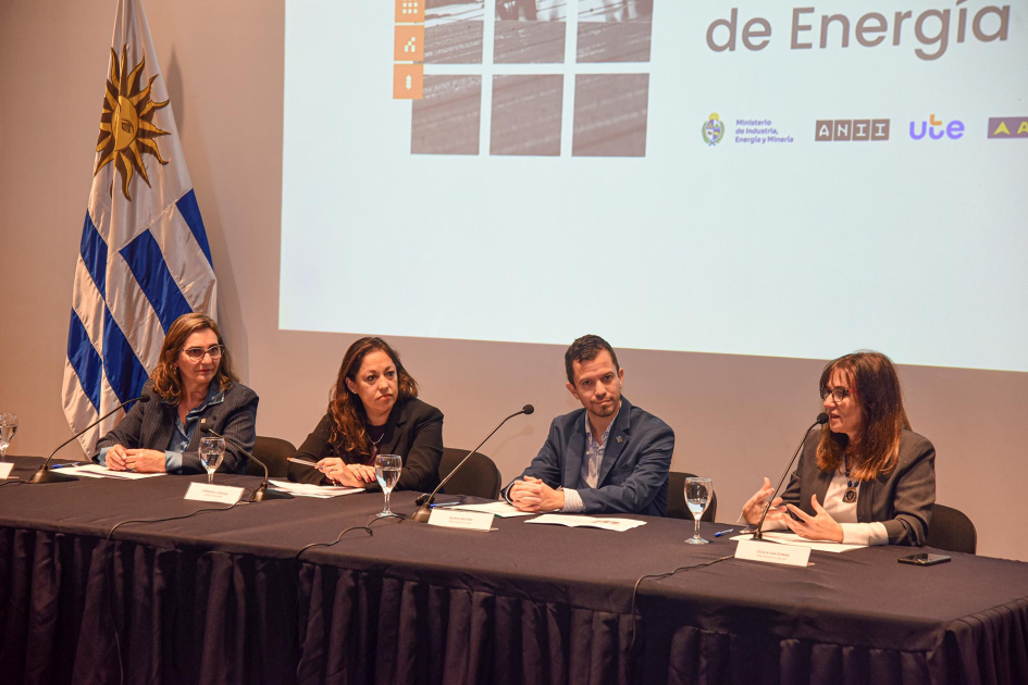 Lanzamiento del Fondo Sectorial de Energía, convocatoria 2026 San Román habla, junto a Brunini, Cardona y Cabrera, en mesa de autoridades; detrás, pantalla