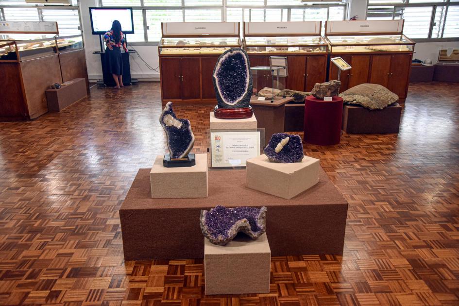 Museo Geominero de Dinamige Grandes amatistas en el Museo Geominero