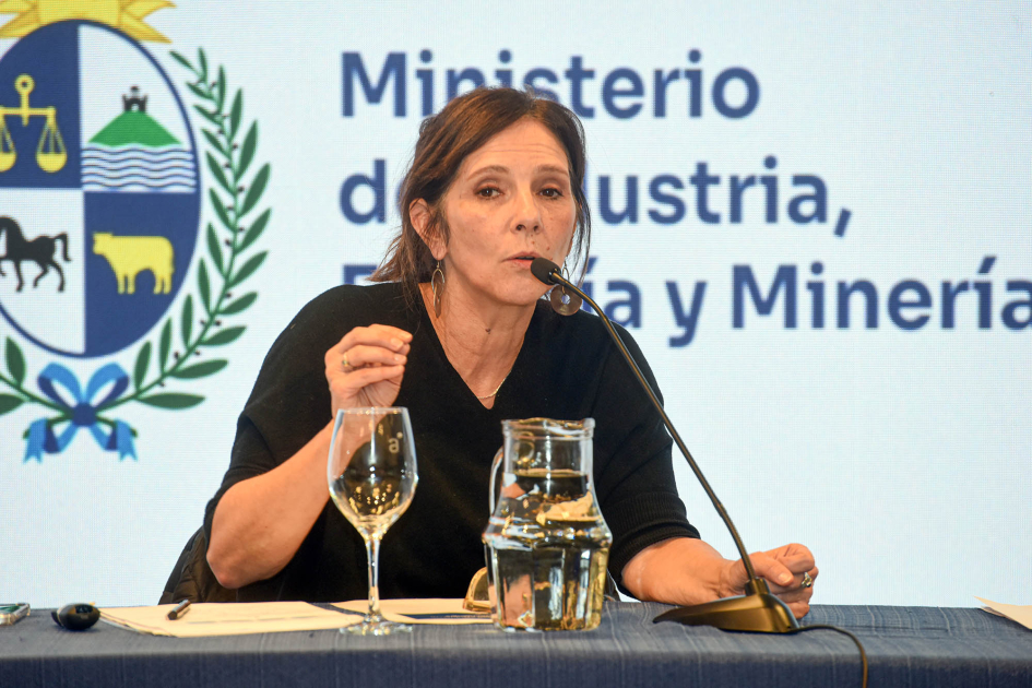Jefa de la Unidad de Políticas de Innovación del MIEM, Gabriel Schroeder Schroeder habla, sentada; detrás, pantalla con logo del MIEM