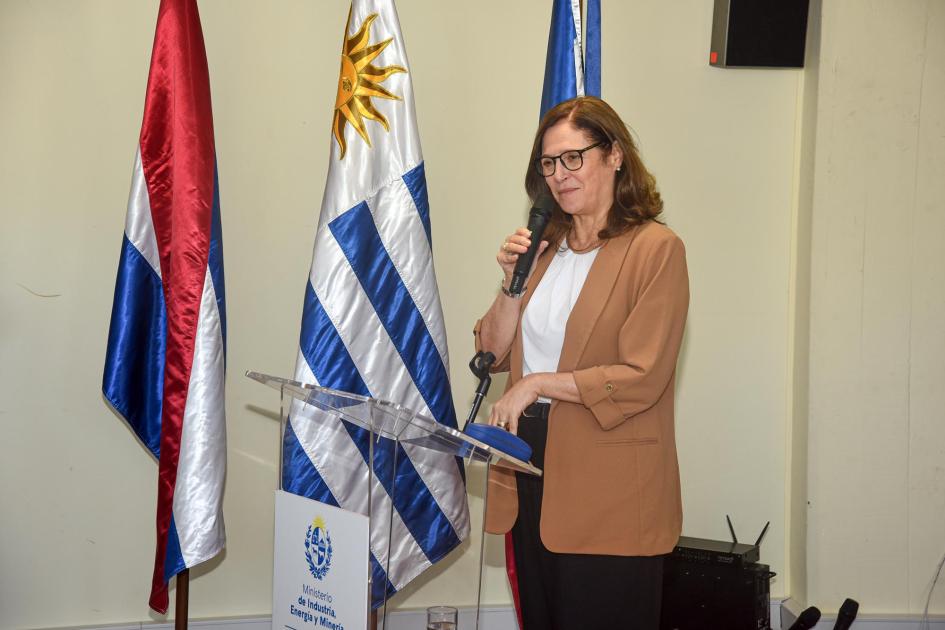 Ministra Elisa Facio Ministra Elisa Facio habla desde un atril; detrás, pabellones patrios