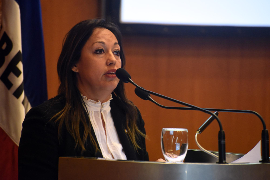 Cardona habla en un atril con micrófono; detrás, banderas