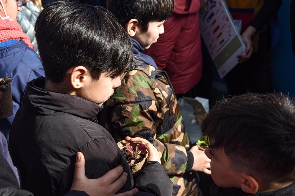 Niños observan una planta