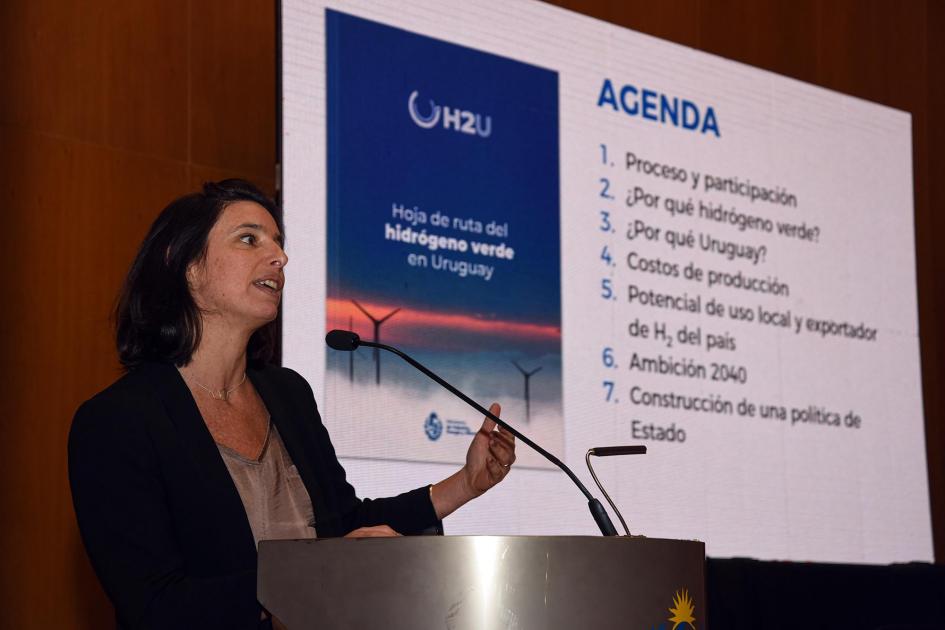 María José González, asesora del MIEM en energía y ambiente Asesora del MIEM en energía habla desde un atril; a su lado, una pantalla con datos