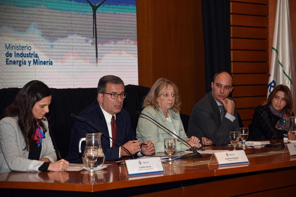 Mesa redonda sobre la temática; hay cinco personas. Detrás, una pantalla, y al lado una bandera