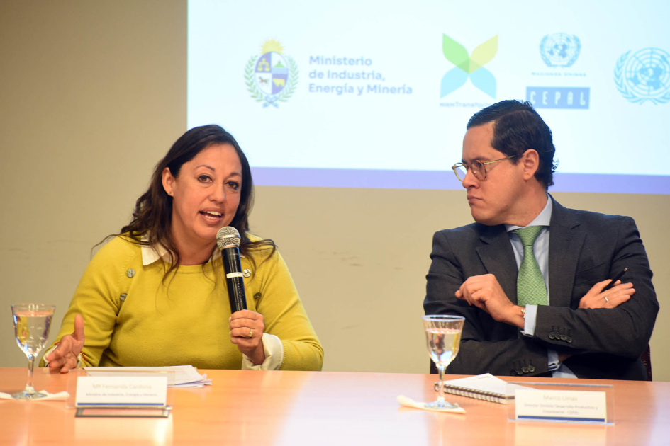 Ministra Fernanda Cardona y especialista Marco Llinás, de CEPAL Ministra Cardona habla junto a Llinás; detrás, pantalla