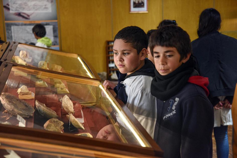 Escolares observando minerales en exposición