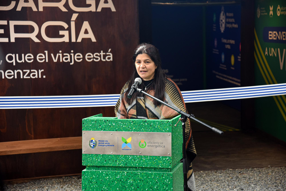 Directora nacional de Energía, Arianna Spinelli Spinelli habla desde un atril; detrás, pared marrón