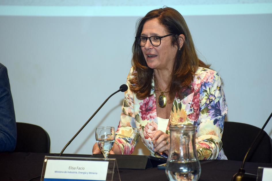 Ministra Elisa Facio habla sobre el comodato Elisa Facio habla a la audiencia