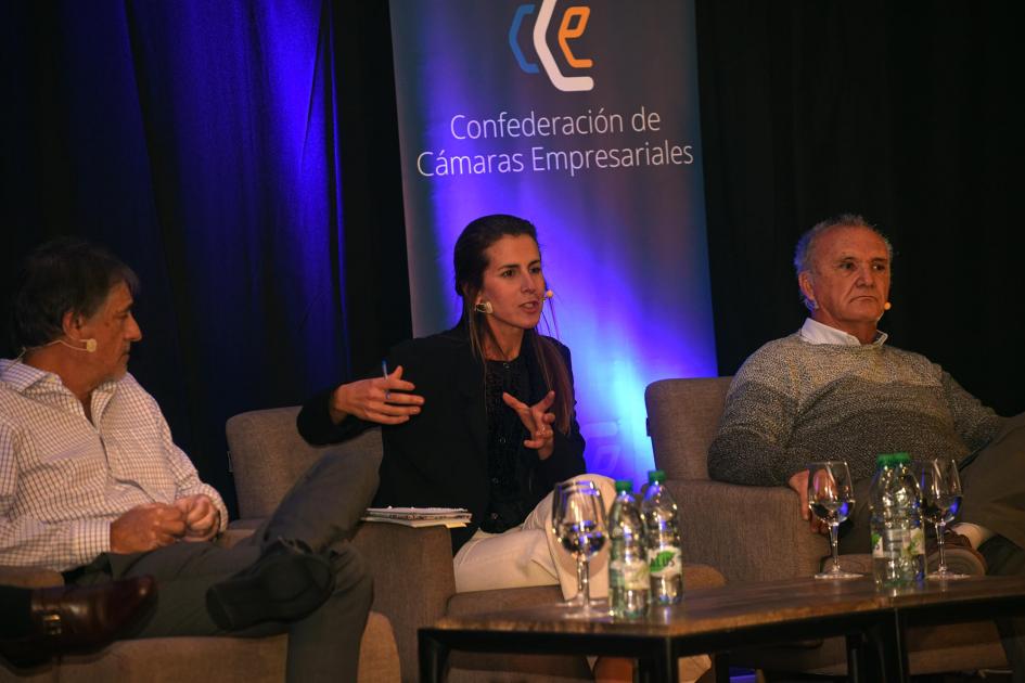 Ximena Sommer, directora ejecutiva y co-fundadora de ÁNIMA . Ximena Sommer, directora ejecutiva y co-fundadora de ÁNIMA .