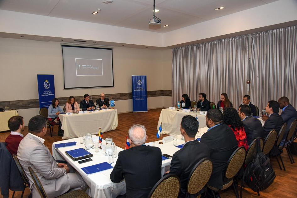 Grupo de participantes y expertos Taller ARCAL