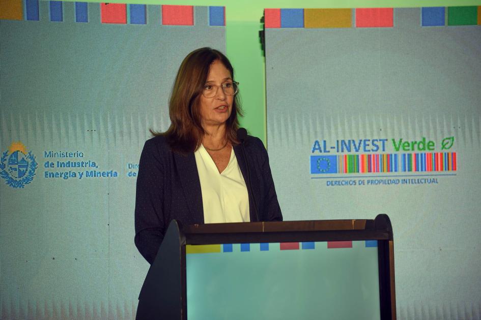 Ministra Elisa Facio Ministra Facio habla desde un atril; detrás, banners del MIEM y AL-Invest Verde