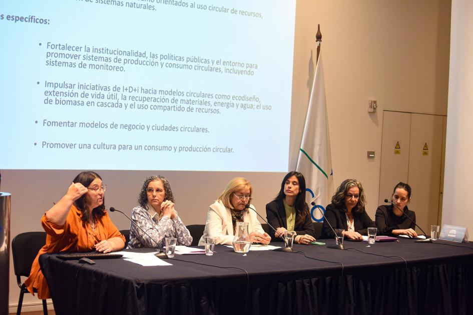 Un panel de expertas de las instituciones participantes presentaron las líneas de acción Mesa de expertas