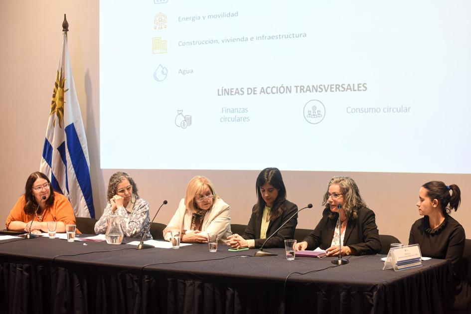 Especialistas explicaron cómo serán los flujos que constituyen la ENEC Mesa de expertas; detrás, una pantalla; al lado, la bandera uruguaya