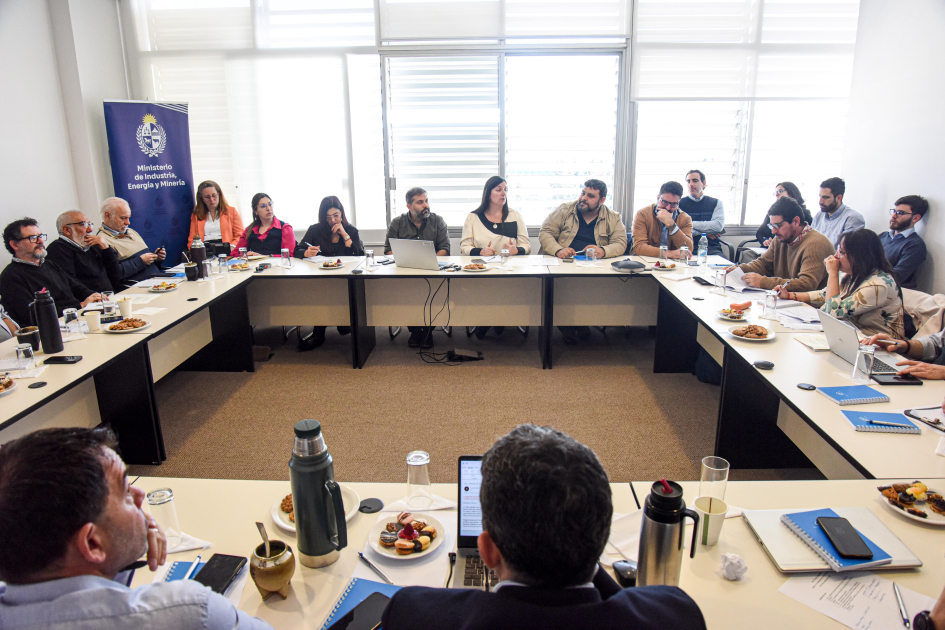 Personas sentadas alrededor de mesa en forma de cuadrado. Atrás, banner institucional del MIEM