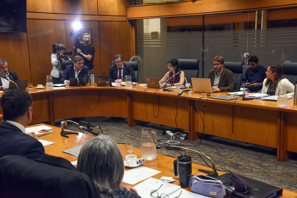 Foto general de Cardona en Cámara de Representantes. Participantes sentados alrededor de mesa 