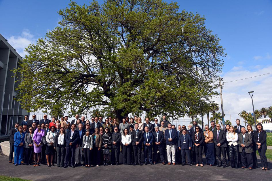 Decenas de participantes, de pie bajo un árbol