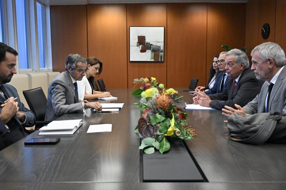 Reunión con el Director General del OIEA y el Ministro de Ganadería, Agricultura y Pesca de Uruguay Personas al rededor de una mesa