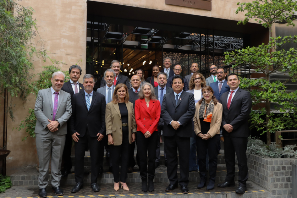 Representantes del Plenario y del Comité Ejecutivo del FORO Personas posicionadas para la foto, de pie