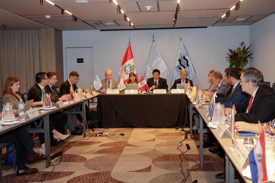 Reunión del FORO Personas ubicadas alrededor de una mesa en "u" que representan a sus países