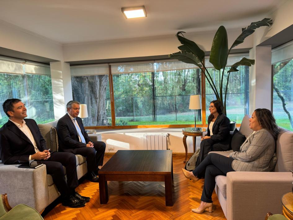 Reunión de alto nivel Personas reunidas, sentadas en sillones