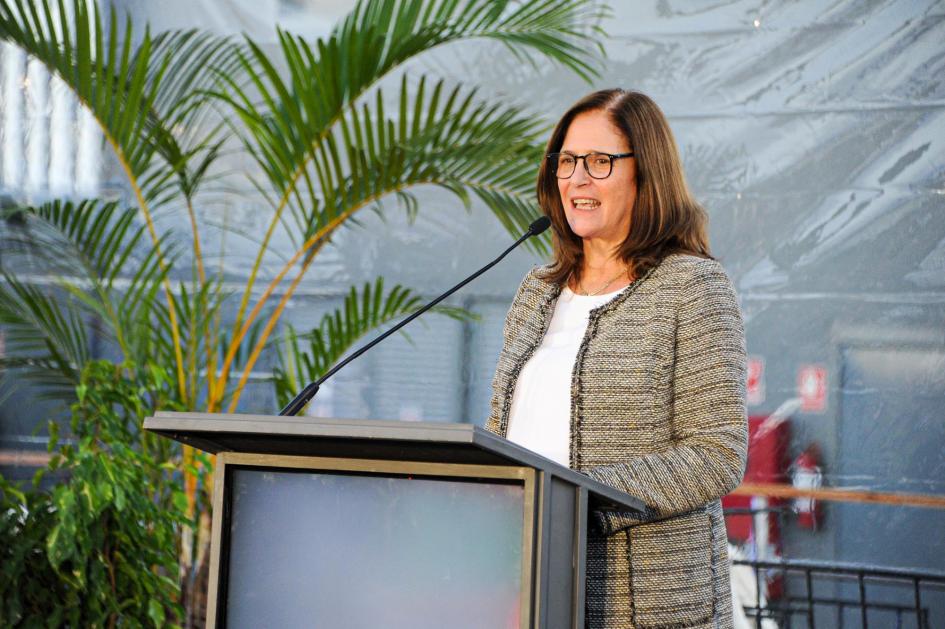 Ministra Elisa Facio Ministra Facio habla desde un atril; detrás, una planta