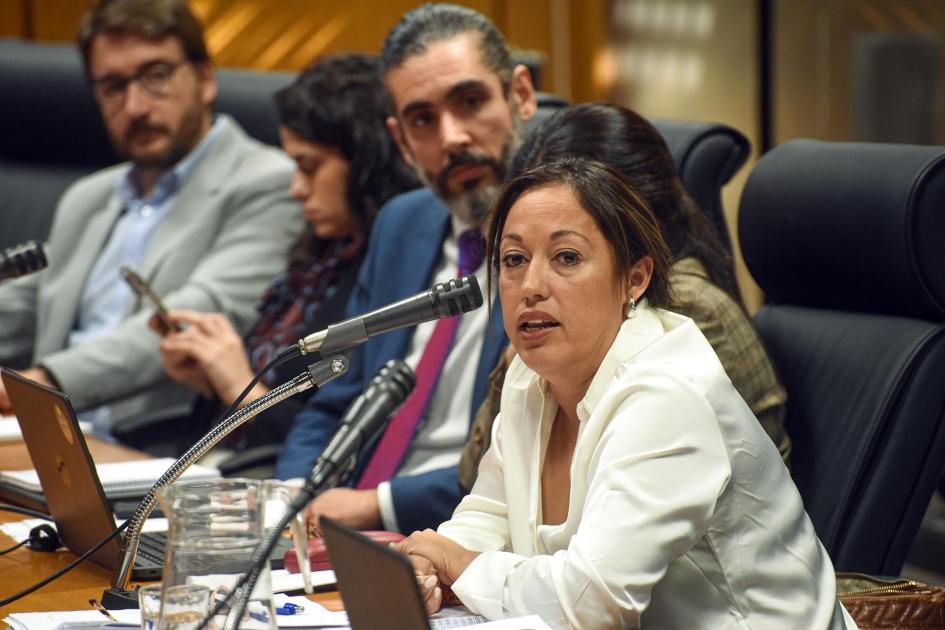 Comisión de Industria de la Cámara de Representantes Fernanda Cardona hablando. A su lado, Rodrigo Díaz, Eugenia Villar y Adrián Míguez