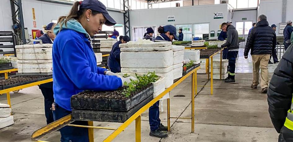 Visita de las autoridades al vivero Santana (UPM)