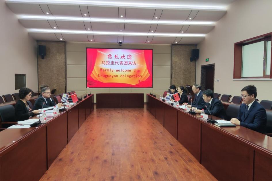 El director Pugliesi mantuvo reuniones de alto nivel en China Grupo de personas reunidas en largas mesas enfrentadas; al fondo, una pantalla