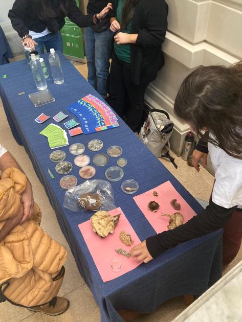 Exposición vinculada con hongos Exposición de actividad sobre hongos; se ven personas junto a una mesa