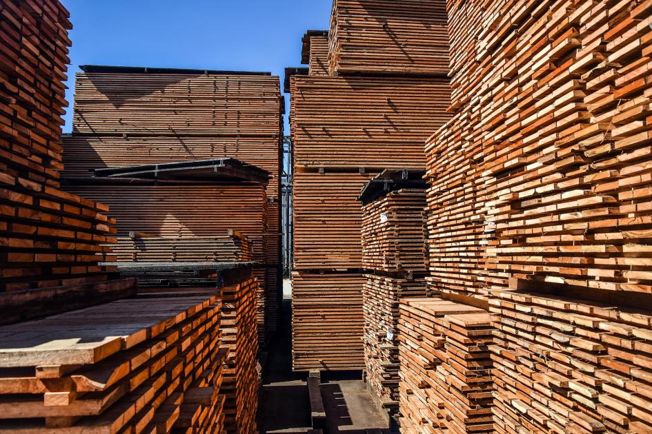 Tablas de madera bajo un cielo soleado