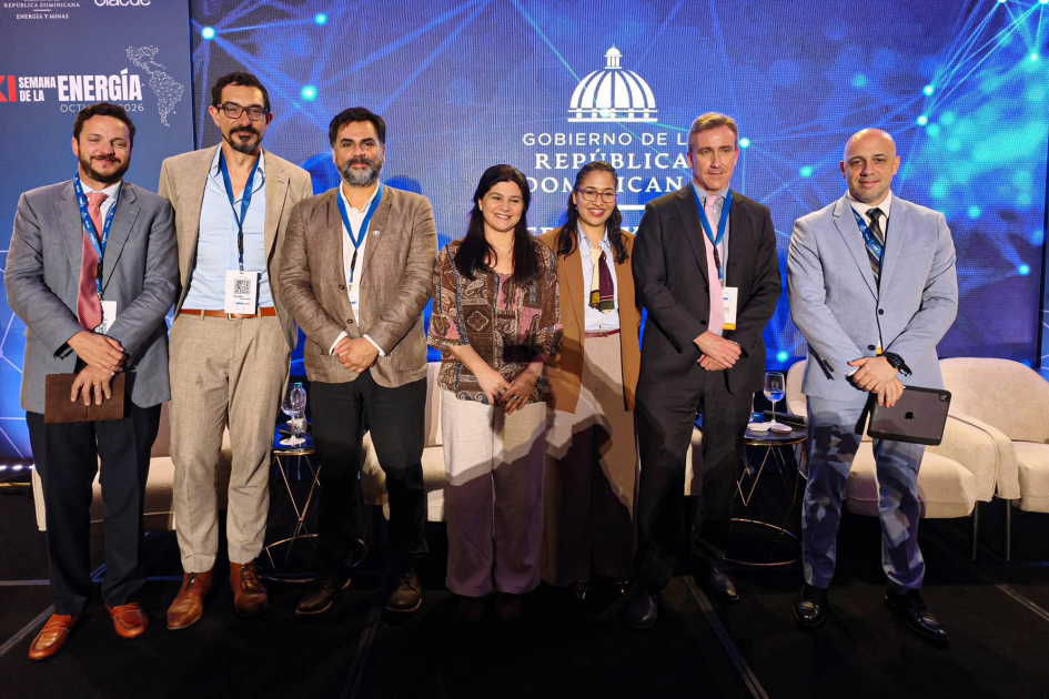 Participantes del panel de Interconexión eléctrica de pie