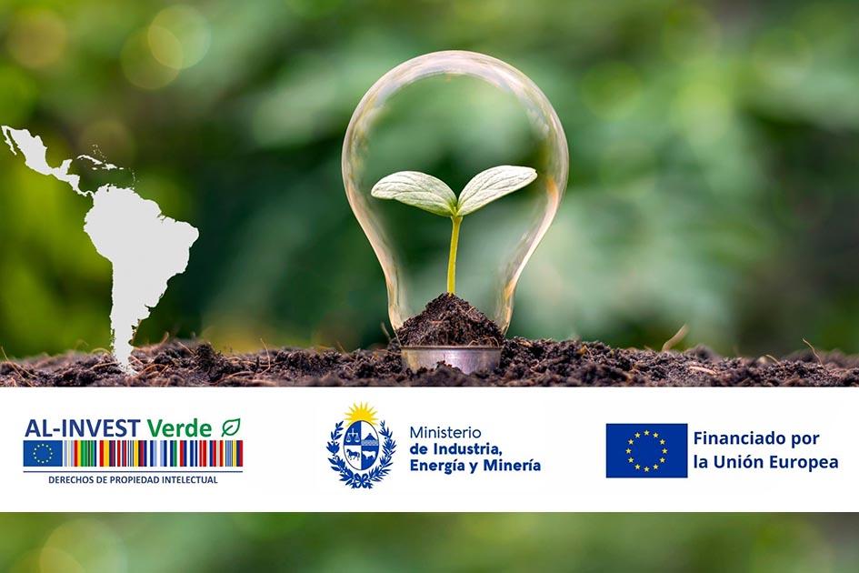 Afiche del lanzamiento Imagen de una lamparita con una planta adentro, América del Sur y América Central y el Caribe