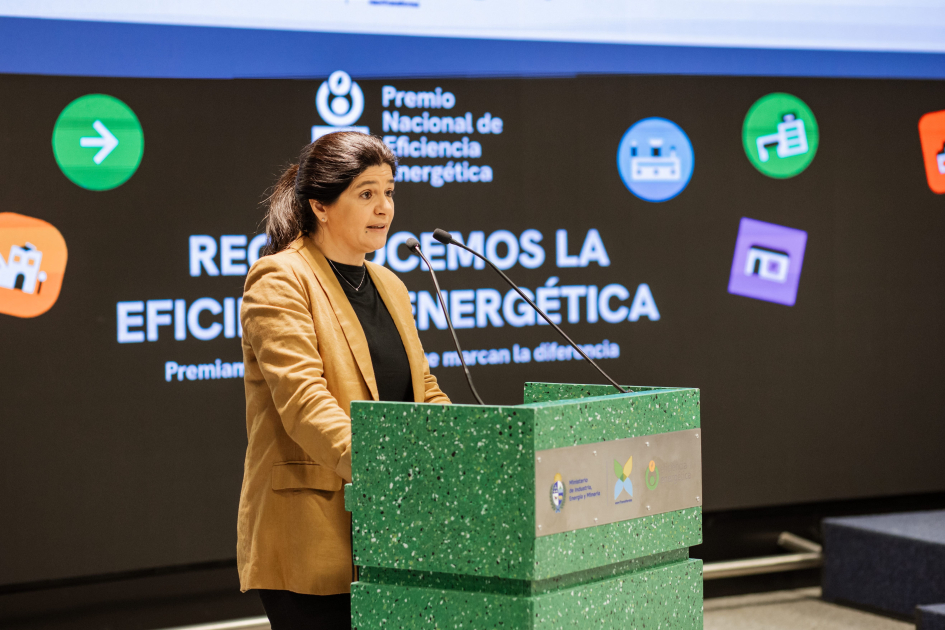 Directora nacional de Energía habla desde un atril