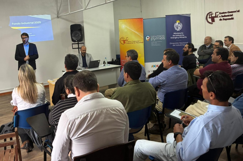Director diserta en el taller de apoyo Fondo Industrial en Paysandú; más cerca, público