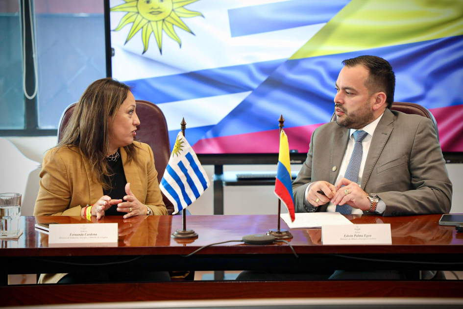 Fernanda Cardona y Edwin Palma Ministra Cardona y ministro Palma conversan. Banderas de Uruguay y de Colombia.