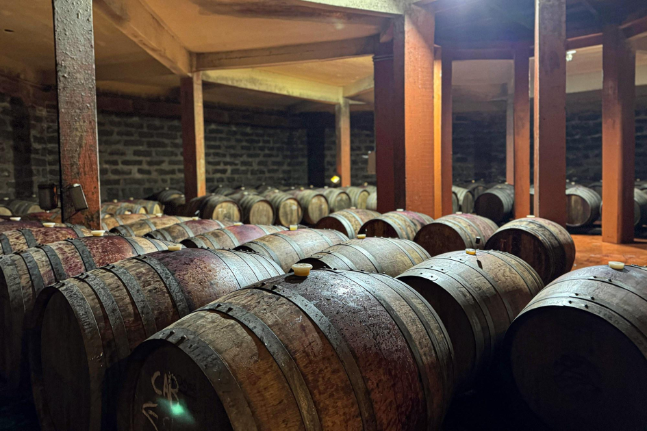 Visita a la bodega Cerro Chapeau Barriles