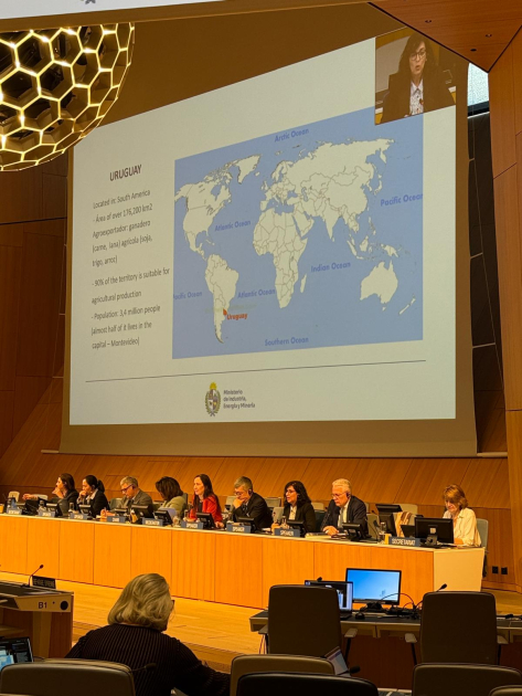 Presentación de Uruguay en el SCT. Foto: DNPI. Nueve personas sentadas detrás de un estrado