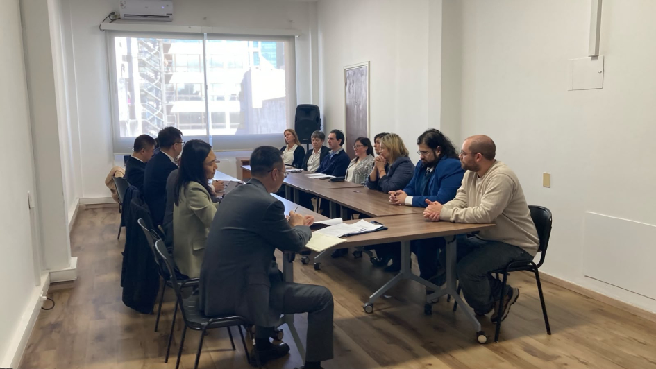 Equipo de DNPI y delegación de CNIPA. Foto: DNPI. 12 personas sentadas alrededor de una mesa trabajando