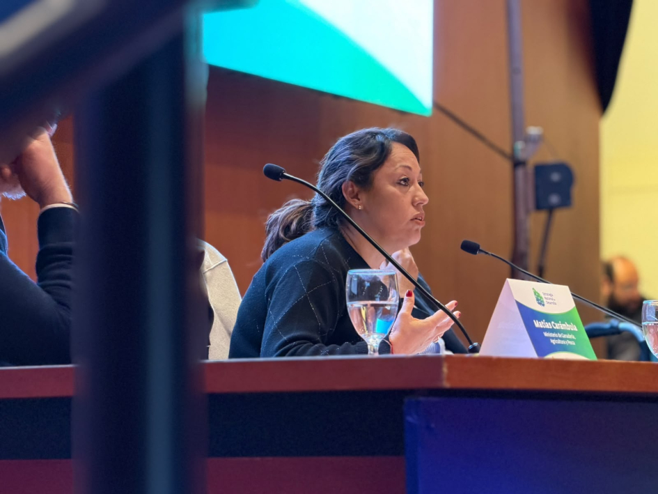 Ministra Fernanda Cardona. Cardona habla en una mesa