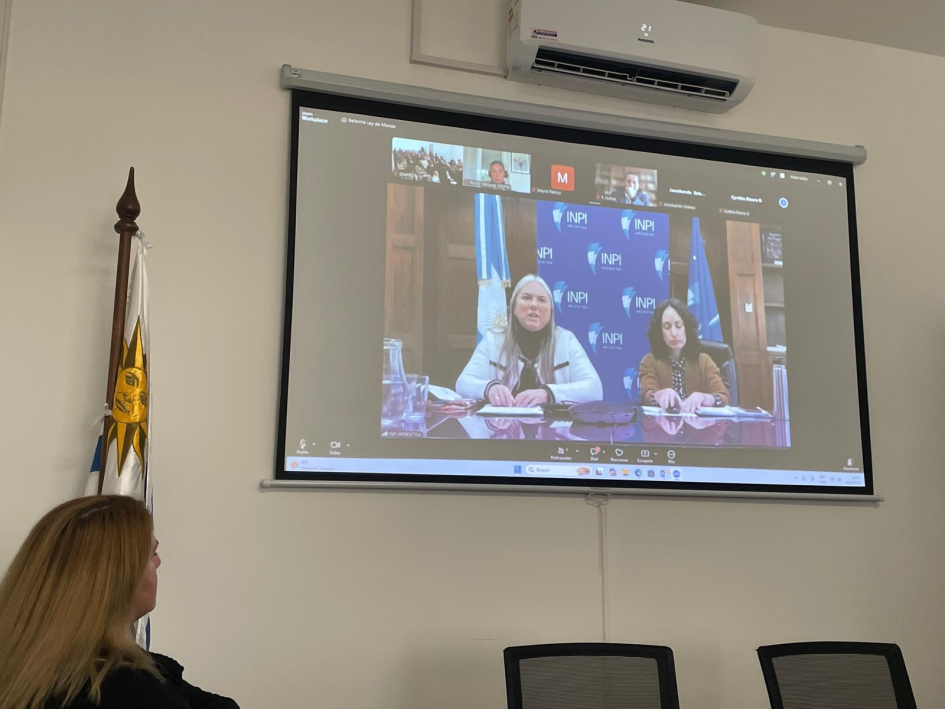 Presentación de INPI de Argentina. Foto: DNPI. Dos mujeres se ven en una pantalla