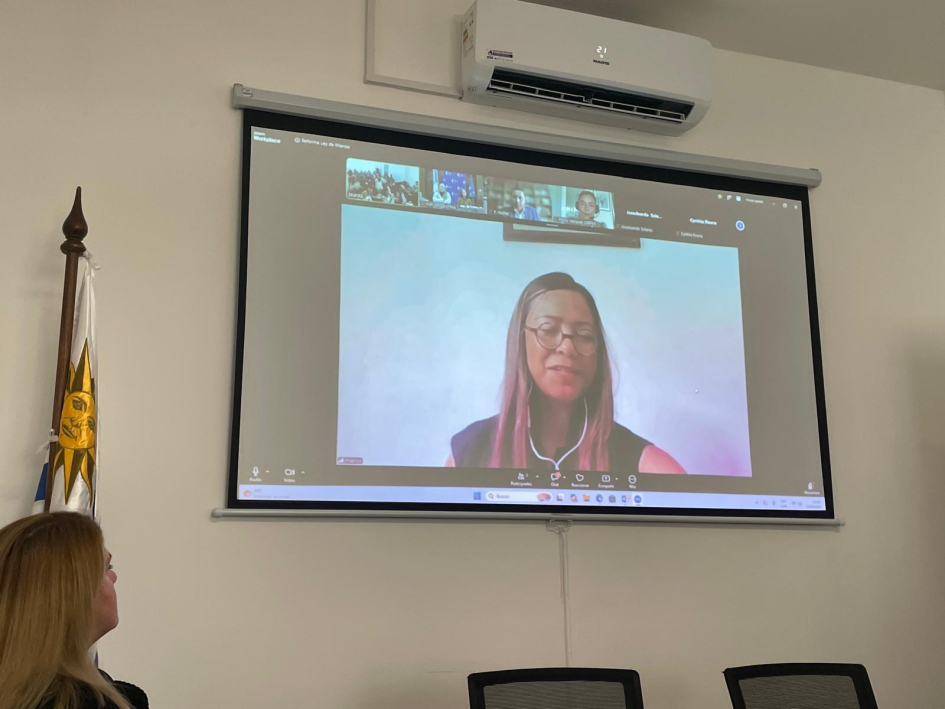 Presentación del INPI de México. Foto: DNPI. Una mujer se ve en una pantalla