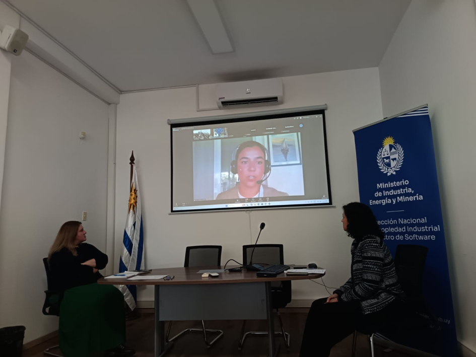 Presentación del OEPM de España. Foto: DNPI. Una mujer se ve en una pantalla