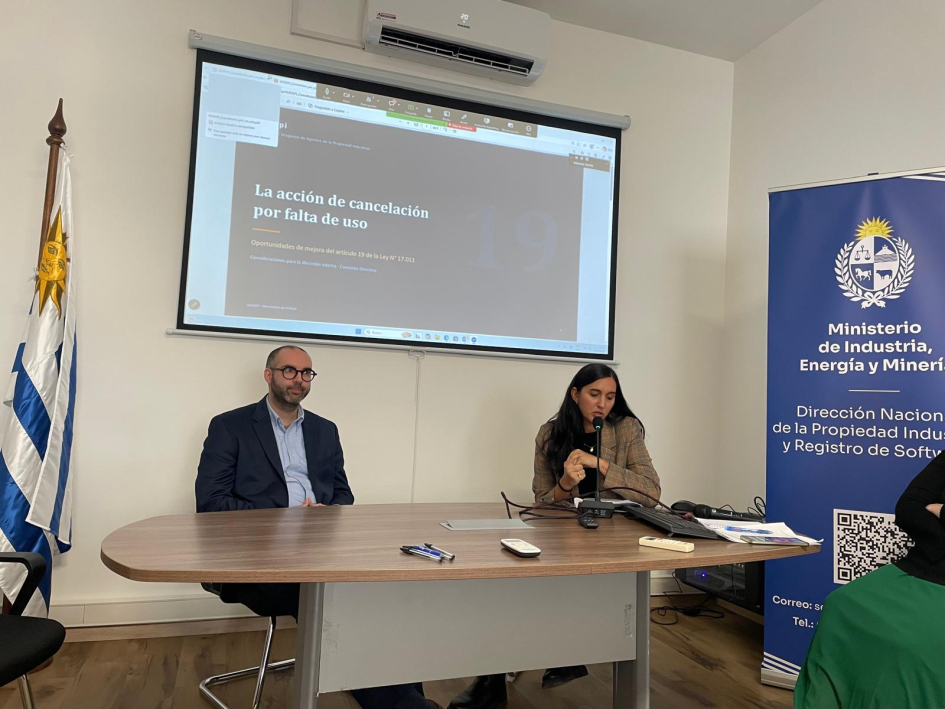 Presentación de AUDAPI. Foto: DNPI. Dos personas están sentadas detrás de una mesa. Detrás, pantalla. A los lados, bandera y banner.