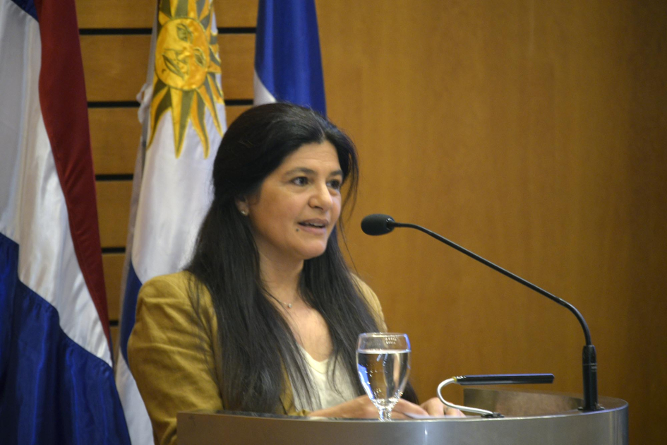 Spinelli habla desde un atril; detrás, banderas nacionales